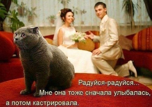 Хистори о том, как я потерял друга.