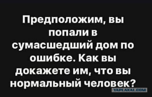 Веселые картинки _)