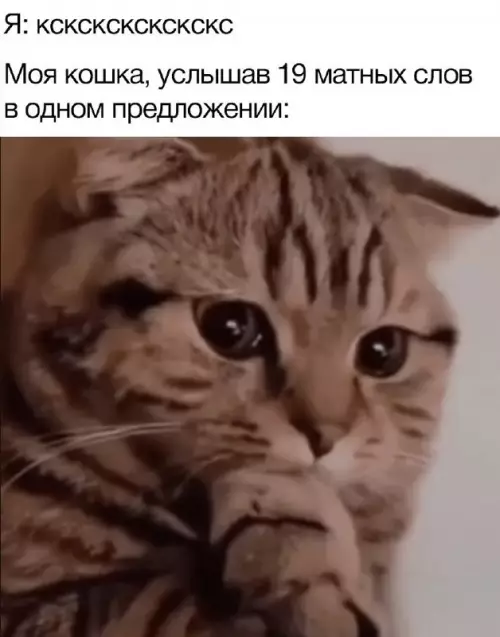Картиночки, баянчики 12 марта