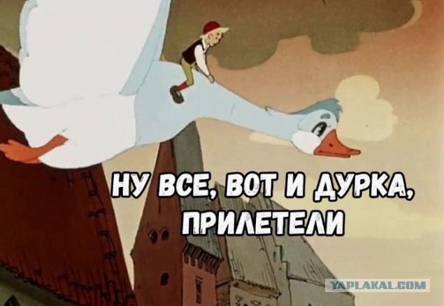 Он не думал, что ему придётся целовать мою задницу