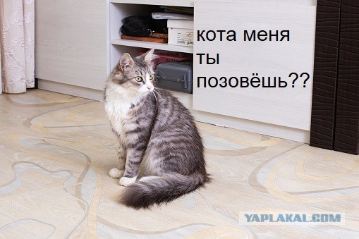 Лучшая песня Владимира Кузьмина?