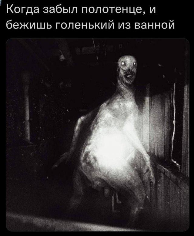 Картинки для деградации 177 (разной степени свежести)