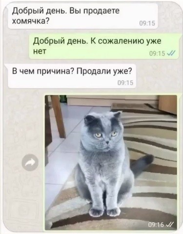 Картинки для деградации 186 (разной степени свежести)