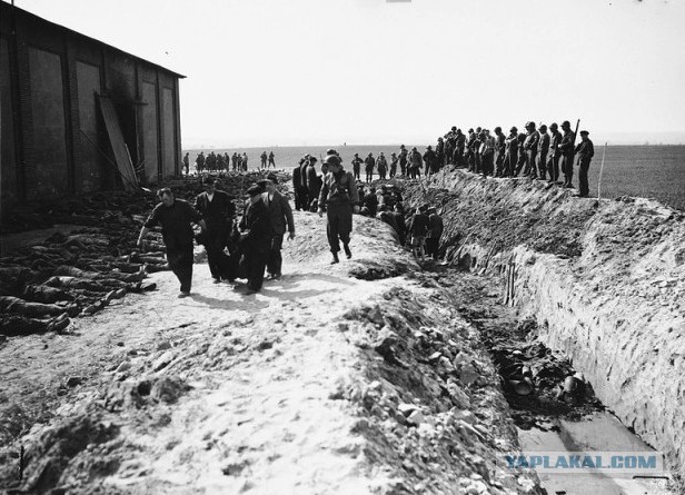 Маленькие фрагменты большой войны  (Великая Отечественная война глазами очевидцев)