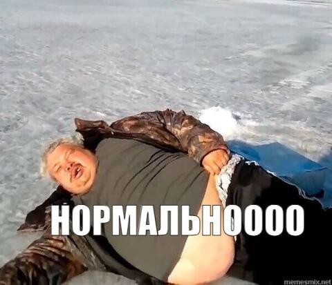 Морж отдыхает