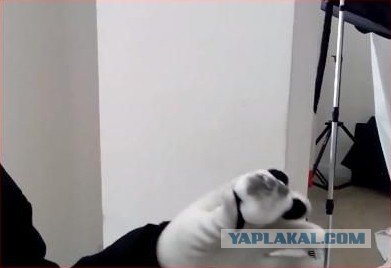 В США выпал снег, который чернеет при нагревании