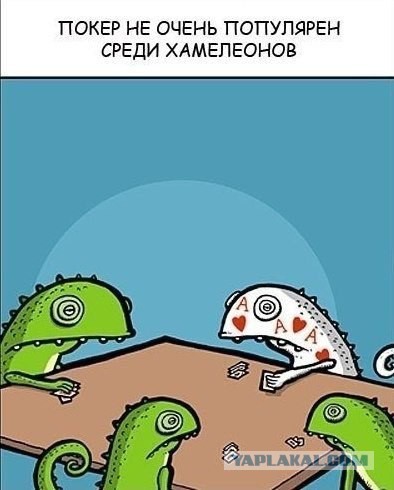 Картинки