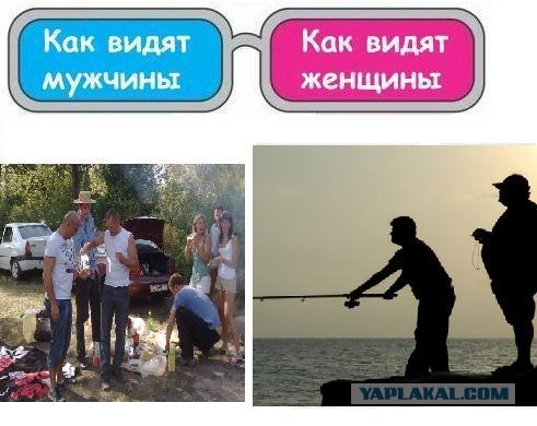 Разные точки зрения