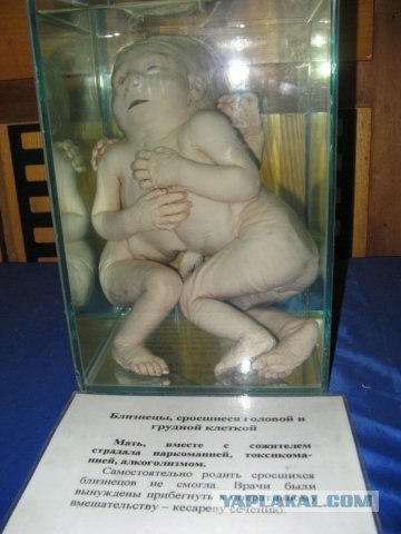 Куда мы катимся?