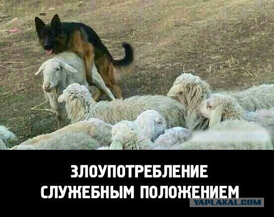 Поднимаем настроение
