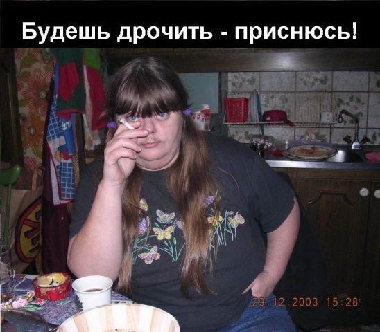 Палево от QIP 2010