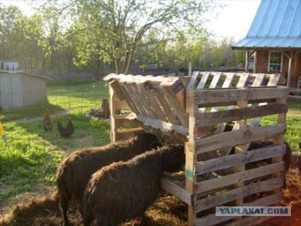Паркет из поддонов.