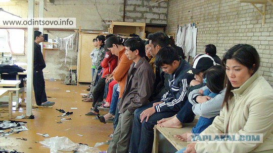 База пользователей ЯПа