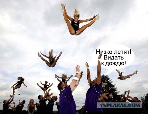 Группа поддержки команды «Baltimore Ravens»