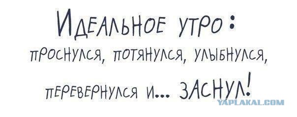 Весёлое из сети
