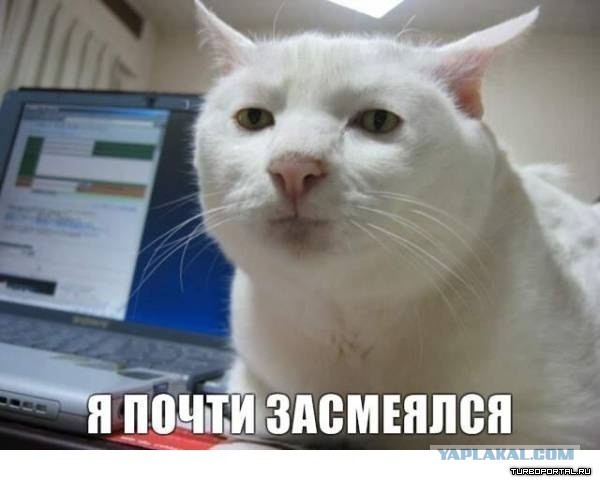 Описание фото убило