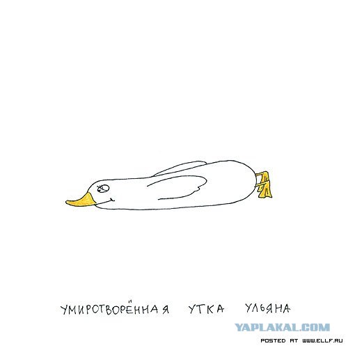 Рисованные животные дурачатся