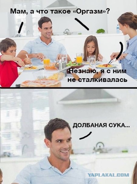 Забавные картинки из сети