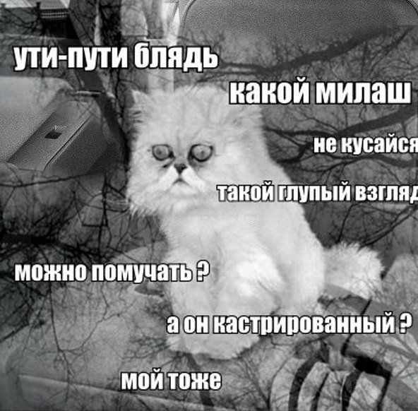 Минутка шизофрении