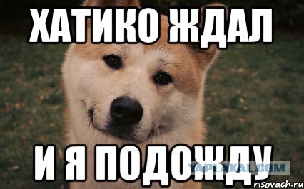 Спасибо что живой