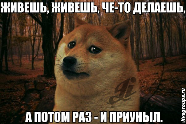 Плюшкиным посвящается