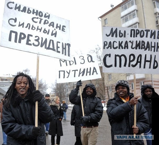 Картинки на пятницу