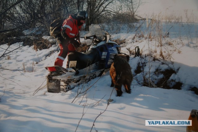 Для публичного наказания мужчин