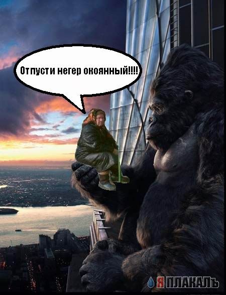 Фотожаба: Бабка и мусорный бак