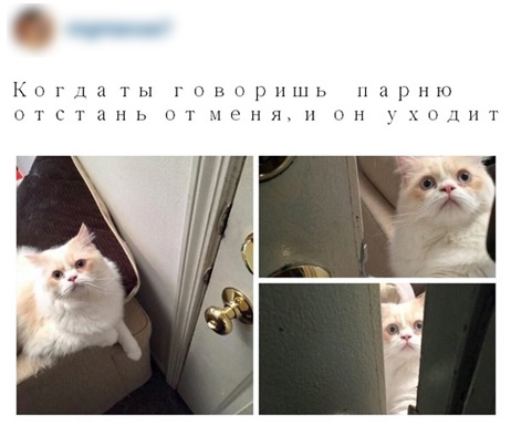 Смешные комментарии 20.03.2016