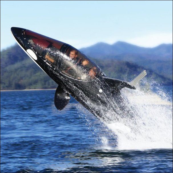 Подборка картинок 29.03.16