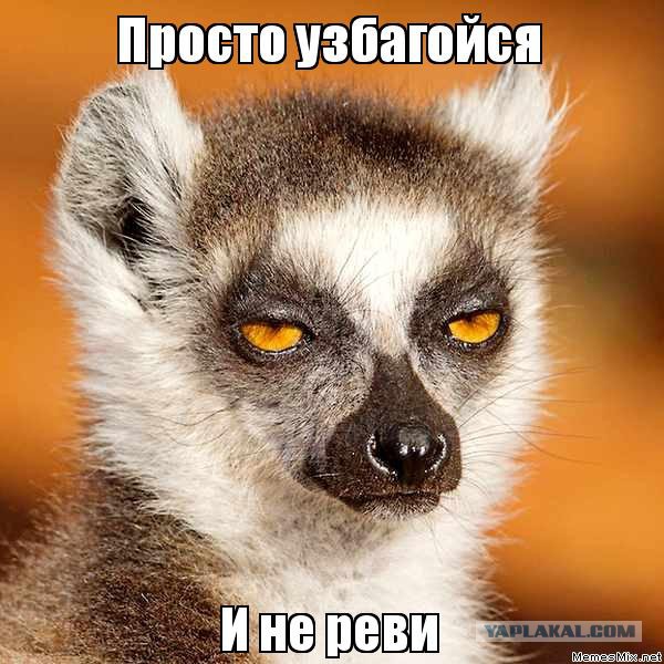 Armored Warfare