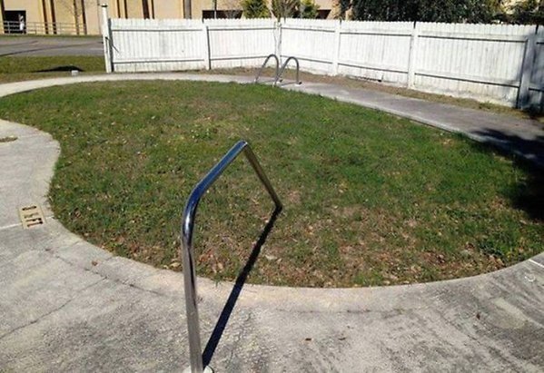 Подборка интересных и веселых фото