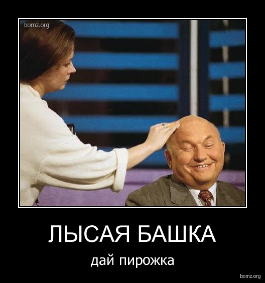 Лысина. Мать ее ети