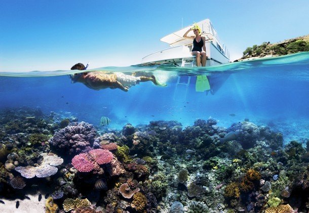 Интересные факты про Большой Барьерный риф