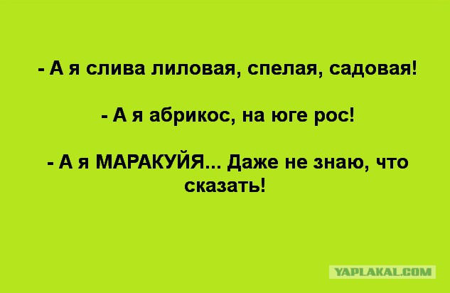 Странный альтернативный юмор