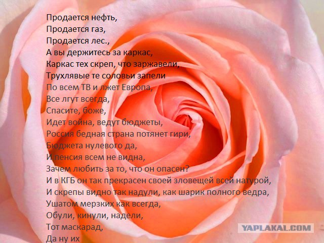 Михаила Касьянова облили зеленкой