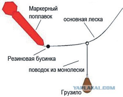 Рыбалки пост, или фидер любимая снасть