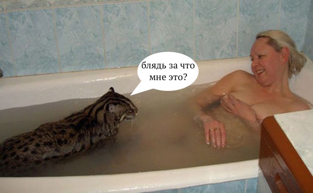 Соцсети - и смех и грех