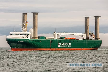 Крылья, ноги.... Во..