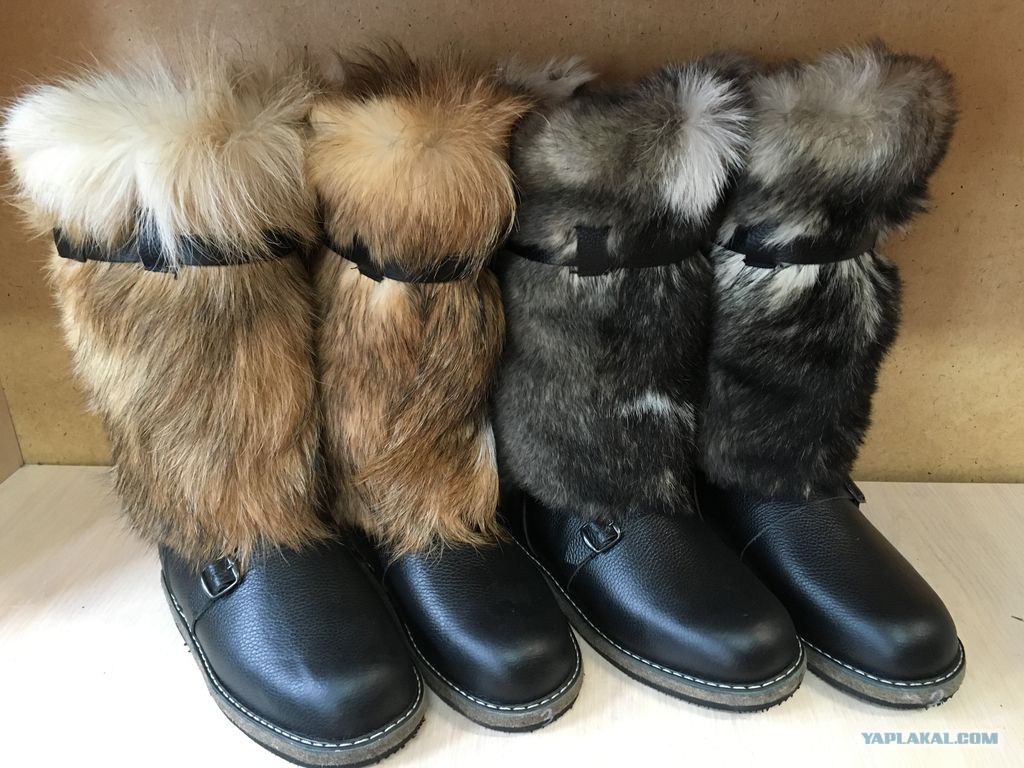 Унты Собачьи Мужские Купить
