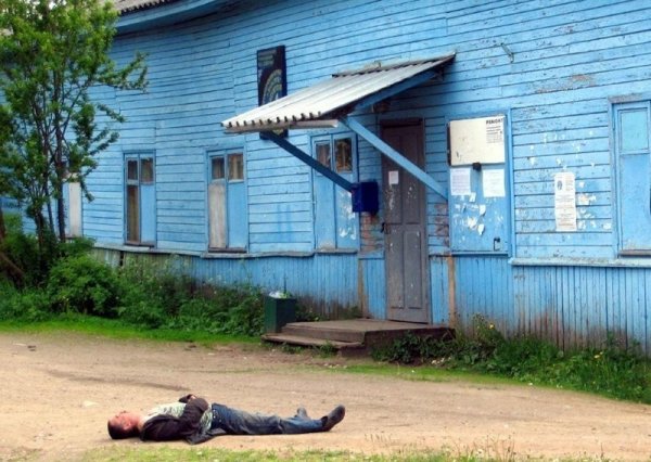 Я приехала в колхоз имени Мичурина, или адская сельская дич