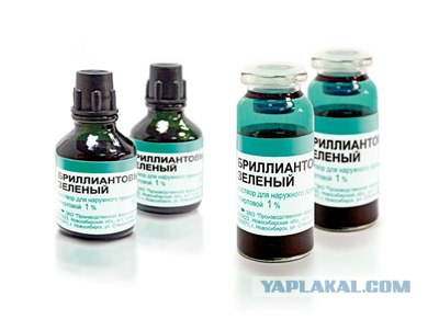 Смешной тюнинг животных!