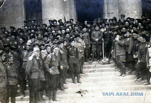 Константин Недорубов - русский медоед