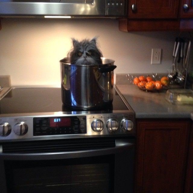 Немного милоты