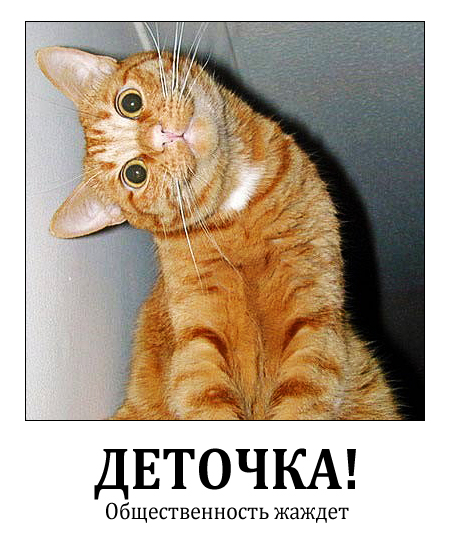 Улыбчивый кот