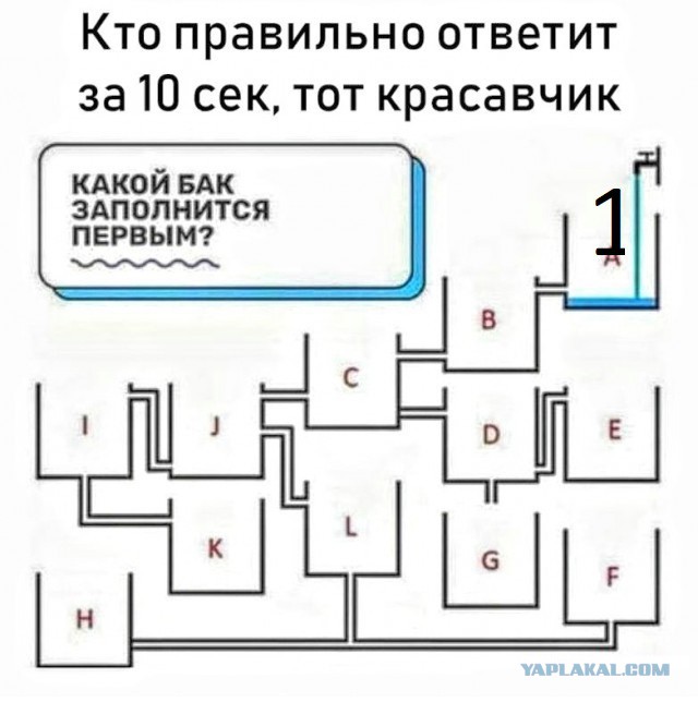 Анекдоты, соц-сети и картинки с надписями
