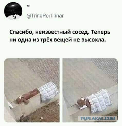 Кривые зеркала