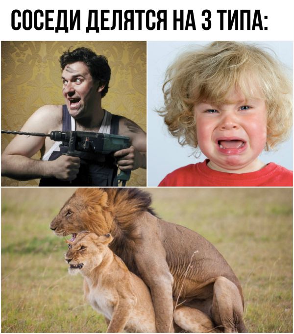 Картинки с надписями и анекдоты