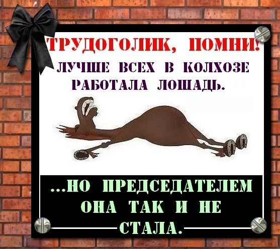 Дорогие борцы с режимом, старайтесь больше времени уделять учебе и работе.