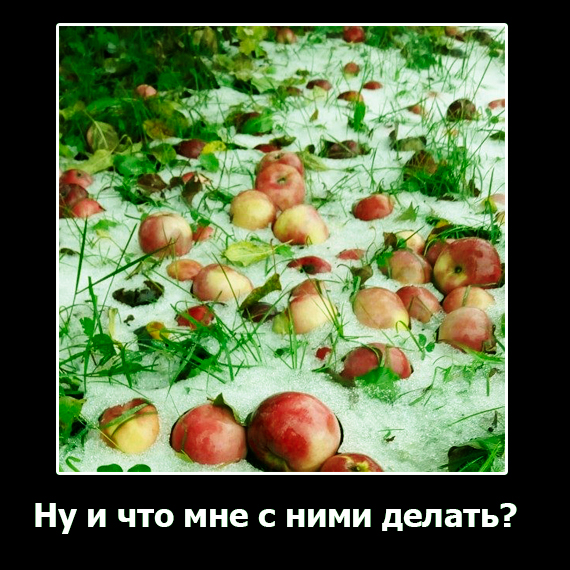 Немного картинок с надписями и без - 25